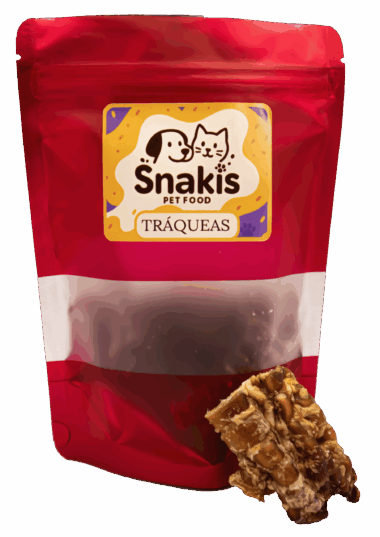 MG_4134-Sin-fondo-scaled-e1777332325140